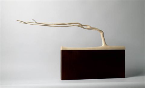 In the Arms of the Wind [2010] poplar, steel + wax 40x75x10cm