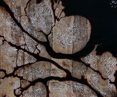 Palmar Pleat [2010] engraving + mixed media on plywood 117 x 139 cm