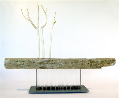 Water Dreaming [2007] driftwood, stainless steel, test tubes, poplar, glass + titanium 60 x 77 x 15.5 cm