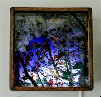 Perran Costi <i>Autumn</i> [2012] glass, hardwood, light 23 x 23 x 8.7cm
