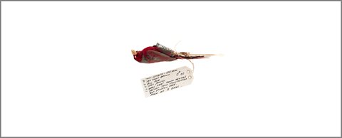 RYAN PONSFORD <i>The Birds #1</i> [2013] pigment ink on bamboo rag 169 x 77 cm