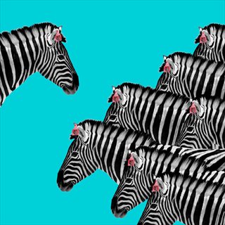 CHRISITIAN PEARSON <I>Zebra Herd 40</I>
